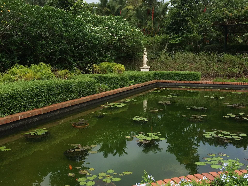 Singapore Botanic Gardens