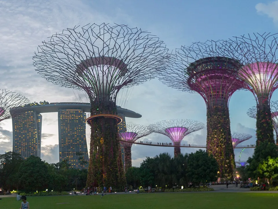 Supertree Grove at night